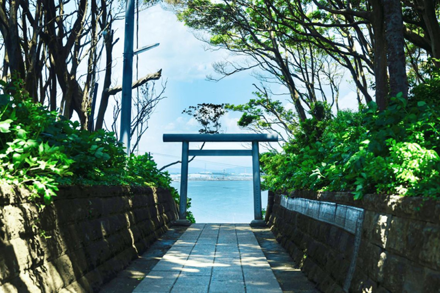 酒列磯前神社（神社巡り × 阿字ヶ浦散策）
